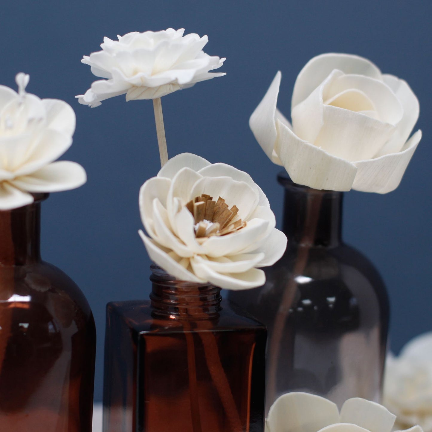 Flores Naturales para Difusor - Loto Grande en Cuerda